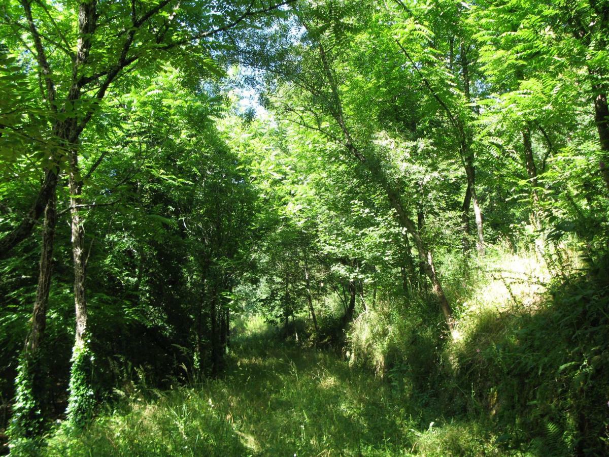 Campismo Rural Vale Dos Moinhos Geres Hotel Kültér fotó